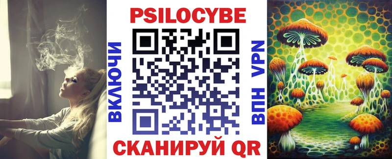 Галлюциногенные грибы прущие грибы  Верхняя Пышма 