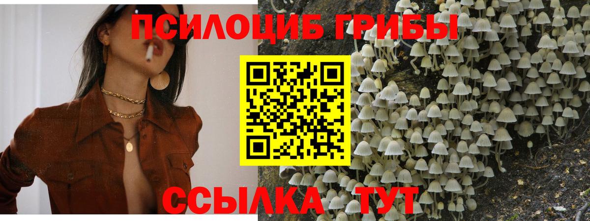 Псилоцибиновые грибы Magic Shrooms  Вход с VPN  Галлюциногенные грибы GOLDEN TEACHER  Верхняя Пышма 