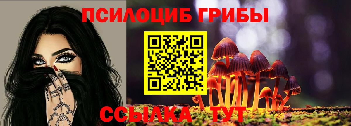 Галлюциногенные грибы ЛСД Верхняя Пышма