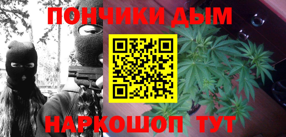 Бошки марихуана Amnesia Верхняя Пышма